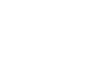 Logo FF Solutions-sem slogan-branco